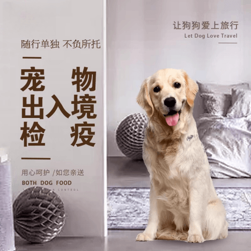 辽源市宠物托运到哥伦比亚猫狗宠物入境规定和