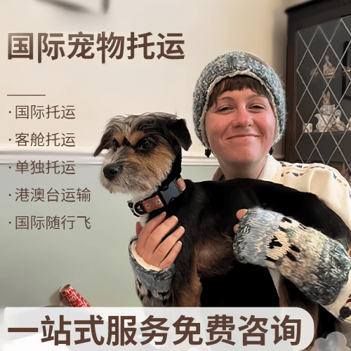 辽源市国际宠物托运到阿根廷宠物入境规定和要