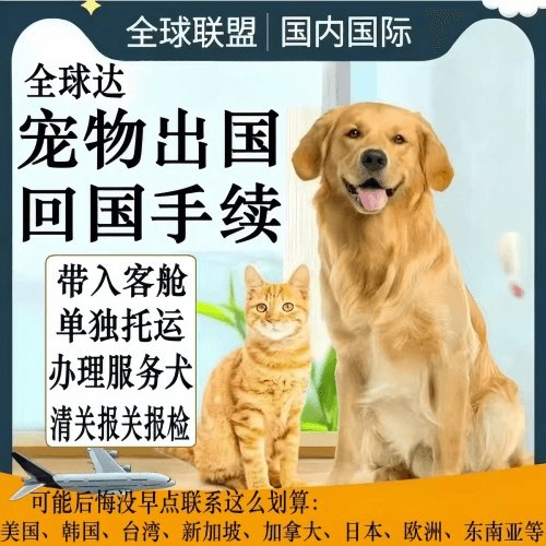 辽源市宠物托运到柬埔寨宠物入境规定和要求