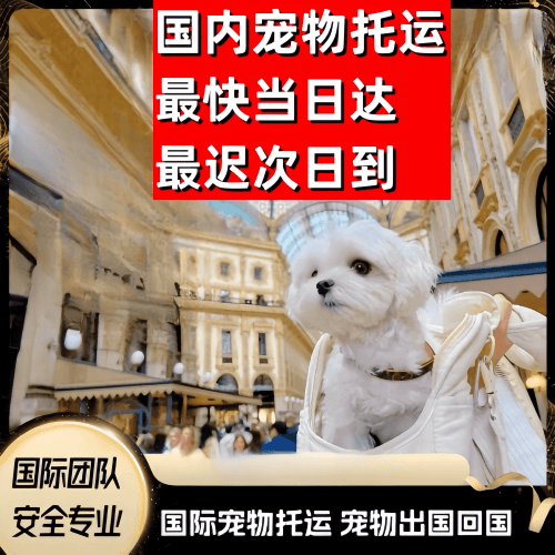 辽源市到澳大利亚（澳洲）宠物入境规定和要求