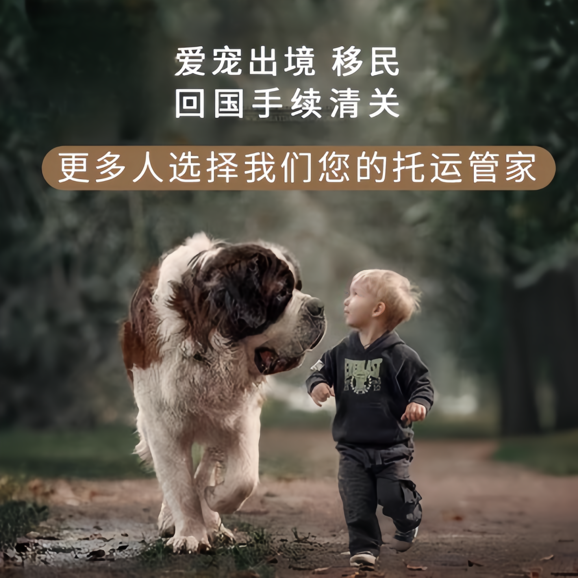 满财辽源市宠物全球达宠物托运在遵守入境目的地政策的条件