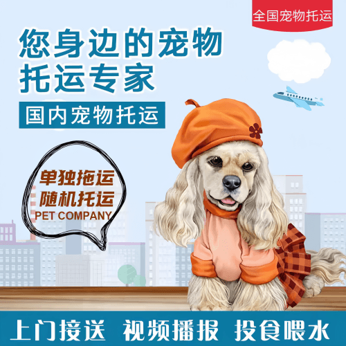 满财辽源市宠物全球达宠物托运作为专业的宠物运输代理机构